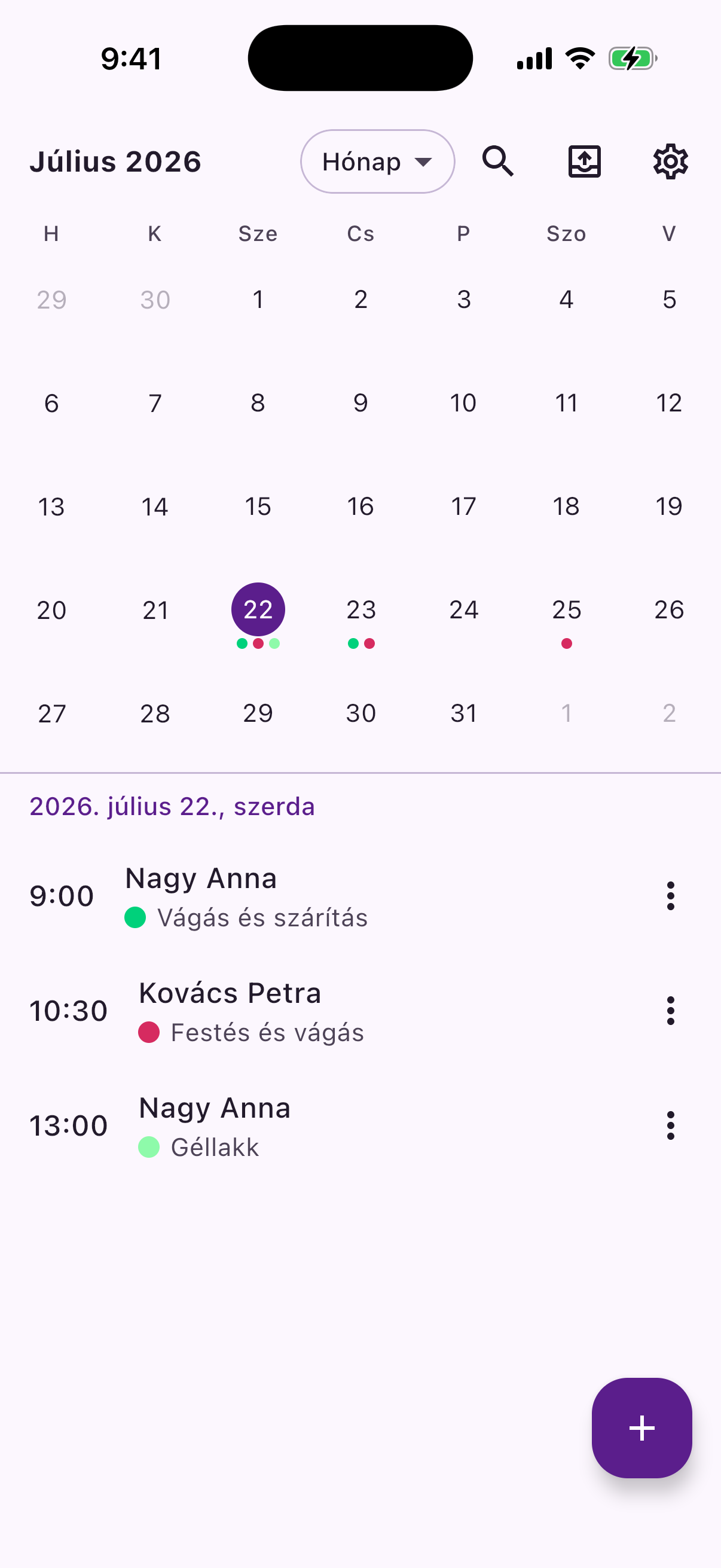 Reeminder's month calendar, with each day's appointments shown as colour-coded dots